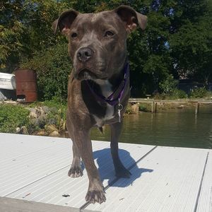 Meet your Posher, Summer